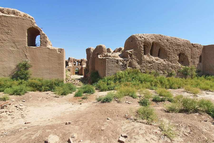 Termez Wonders: One-Day Cultural Tour - Complete Guide