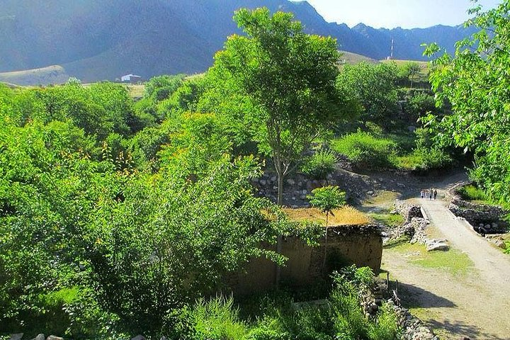  Nuratau Villages Homestay Experience – 2 Days (Samarkand ↔ Bukhara)